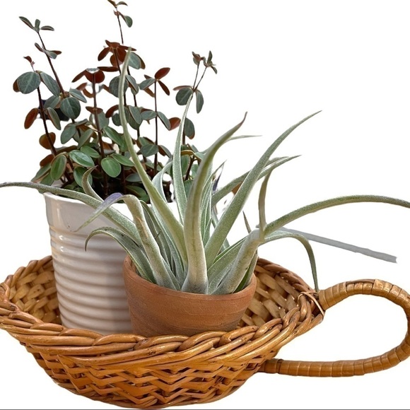 rattan wicker basket with handle, vintage, handmade, about 8 inch diameter, - Picture 4 of 5